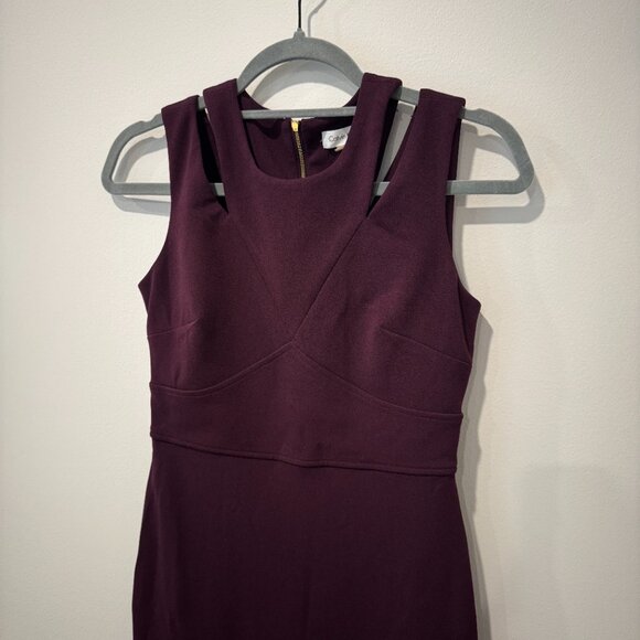 Calvin Klein Burgundy Shift Dress with Cutouts - Size 2 - Picture 4 of 6